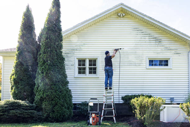 Professional Pressure Washing in Snoqualmie, WA